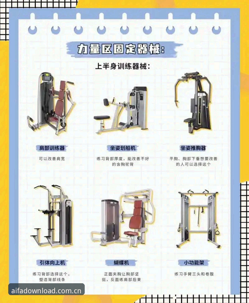 aifa体育功能介绍完整指南：新手快速上手的实用操作手册